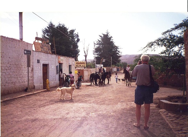 [San Pedro - gatebilder horses dog and me[3].jpg]