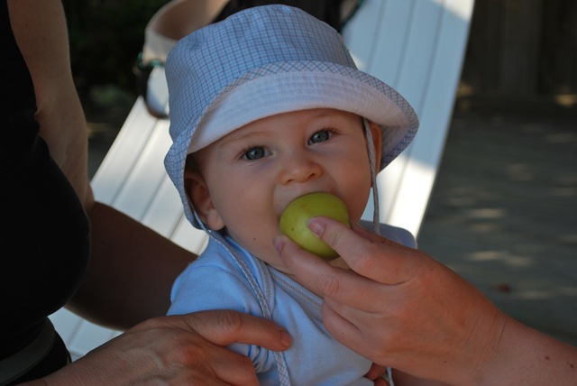 [Like fruits[3].jpg]