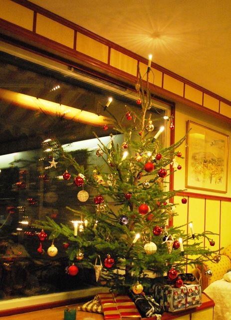 [2010-12-23 Tree with Star in Roof[8].jpg]
