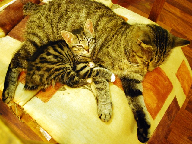 [Lilli and Mother Felicia[3].jpg]