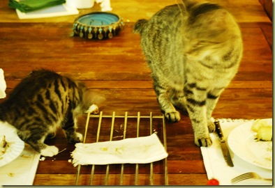 Lilli and Mother attacking our Dinner