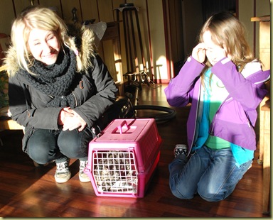 Lillis in Cage with her new humans 1