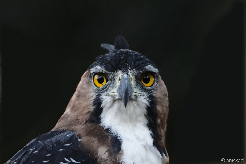[DSC06850_ka[1].jpg]
