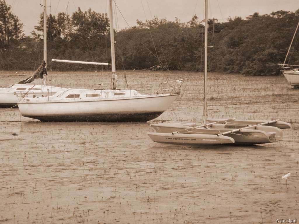 [DSC00079_ka bis.jpg]