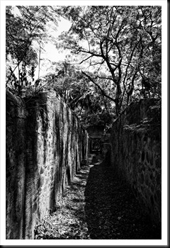 DSC05905_ka
