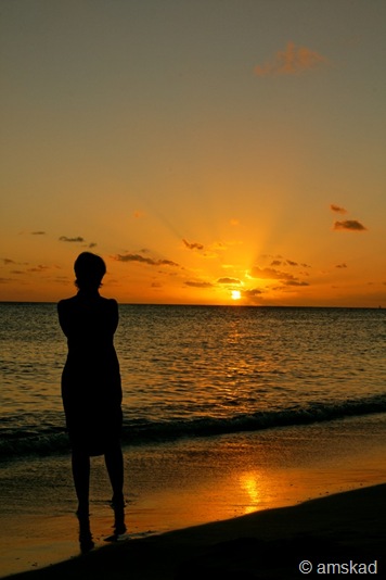 [DSC01778_ka[4].jpg]