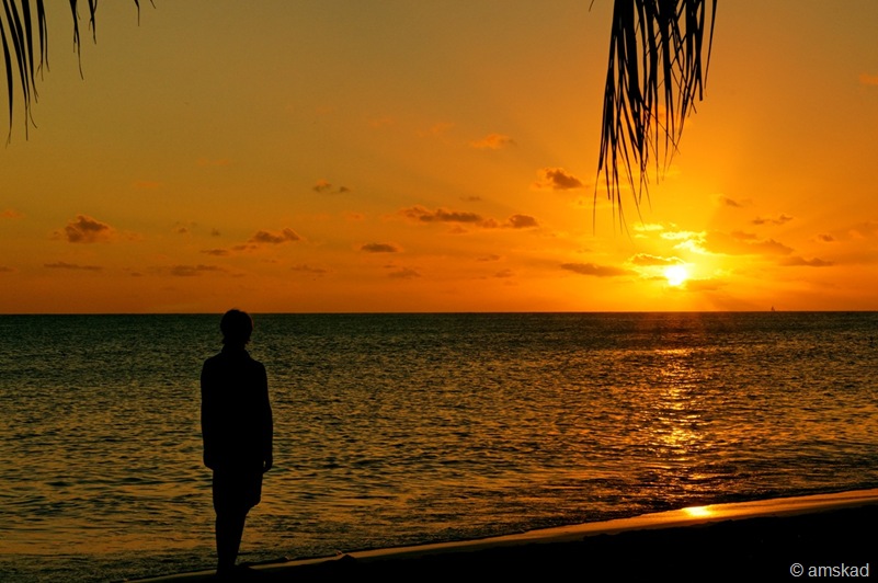 [DSC01769_ka[2].jpg]