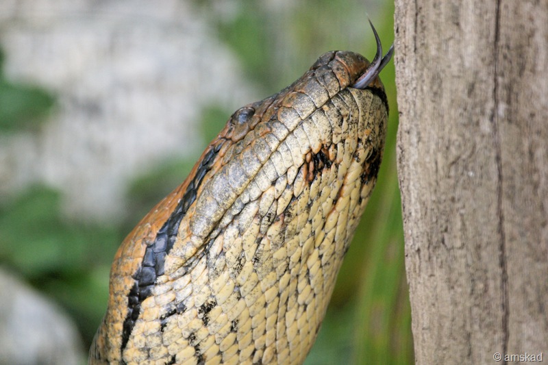 [DSC02706_ka[2].jpg]