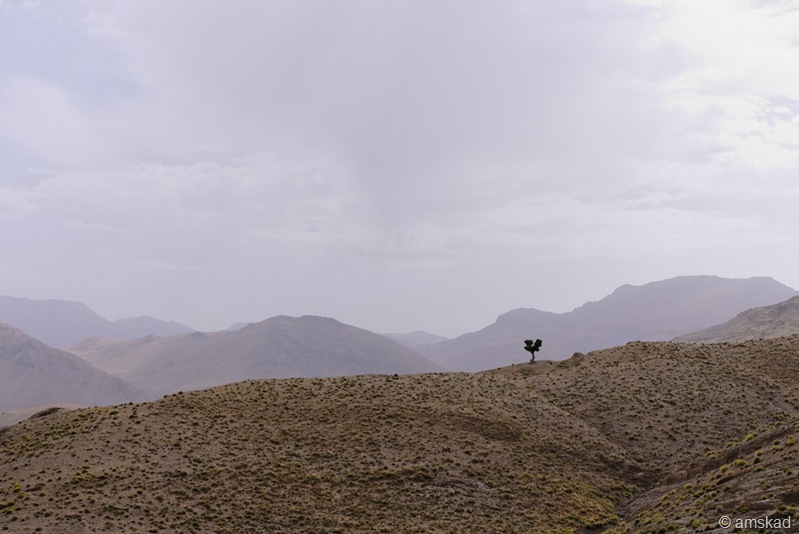 [_DSC5325_ka[3].jpg]