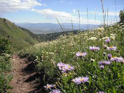 Singletrack and views! All day long. 