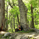 Resting in the forest near Los Perros