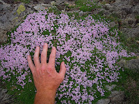 DSCN1306.JPG