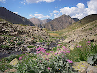 DSCN1271.JPG