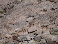 DSCN1403.JPG