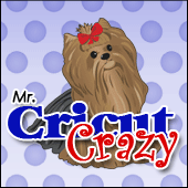 Mr. Cricut Crazy