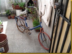 bici CIC 1 bici CIC 1