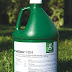 greenflash-p1.jpg
