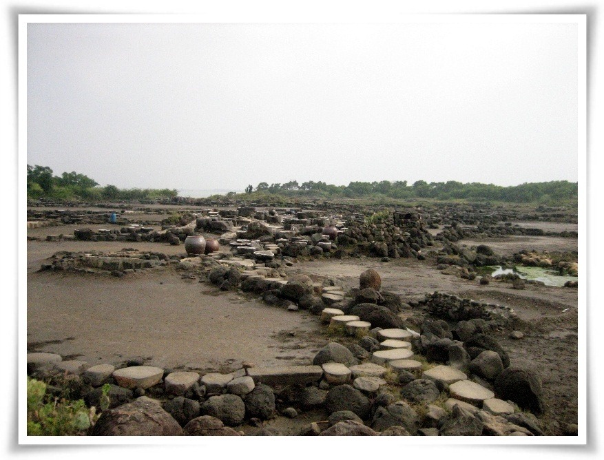 [IMG_9606.jpg]
