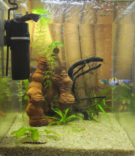 Картинка с форума