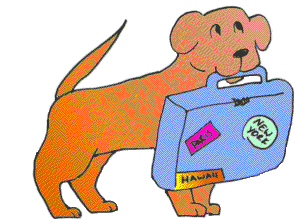 DOG TRAVEL DOG TRAVEL