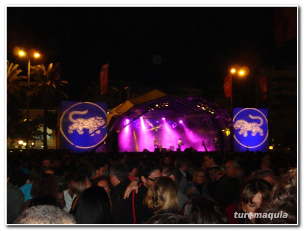 Womad 2008