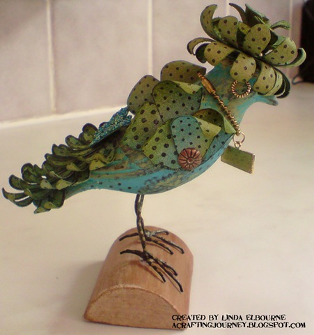 [Bird 7[4].jpg]