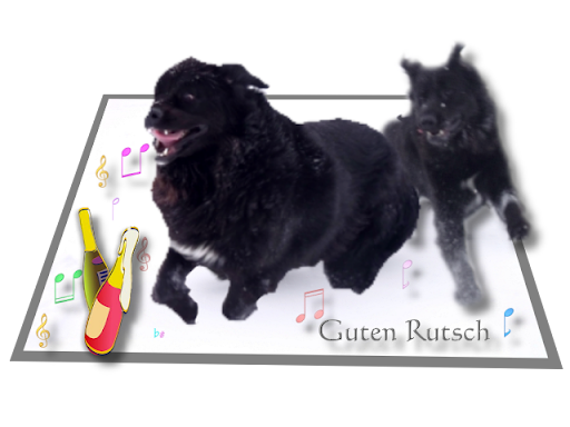 [Bild: 1b.png]