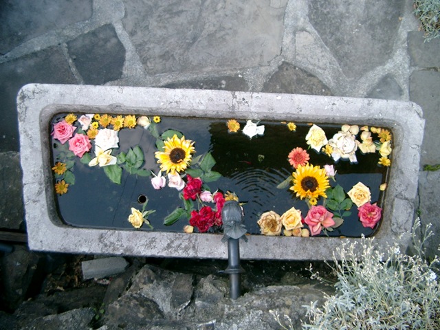 IMGP3143
