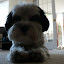 P1010056.JPG