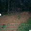 DawnontheFarm's Back garden