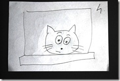 storyboard - cat confused storyboard - cat confused