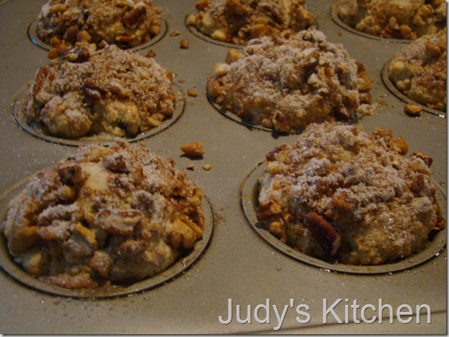oatmeal CC muffins (6) oatmeal CC muffins (6)