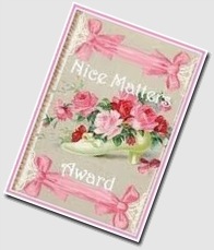 Nice Matters Award from My Carolina Kitchen