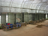 DSCN3210.JPG