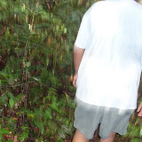 SL380991.JPG