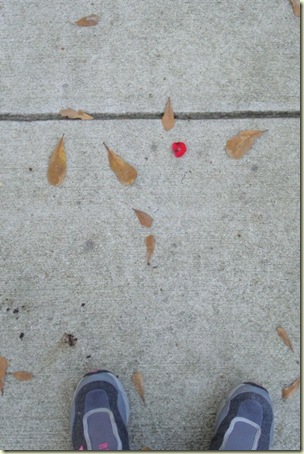 Petal Path_WEB3
