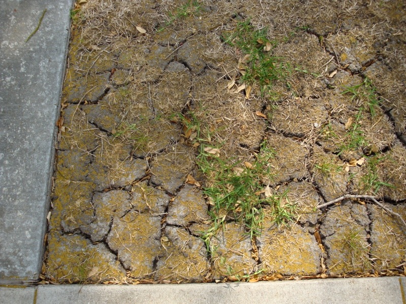 [cracks in ground 1web[22].jpg]