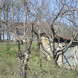 DSC01051.jpg