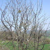 DSC01052.jpg