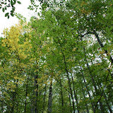 DSC01982.JPG