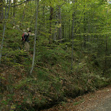 DSC01981.JPG