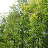 DSC02044.JPG
