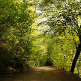DSC02049.JPG