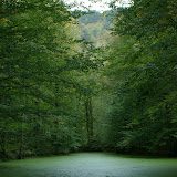 DSC02169.JPG