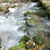 DSC02268.JPG