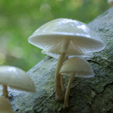 DSC02369.JPG
