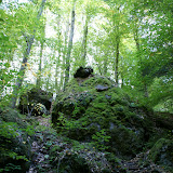 DSC02428.JPG