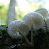 DSC02374.JPG