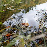 DSC02451.JPG