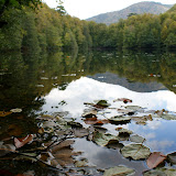 DSC02460.JPG